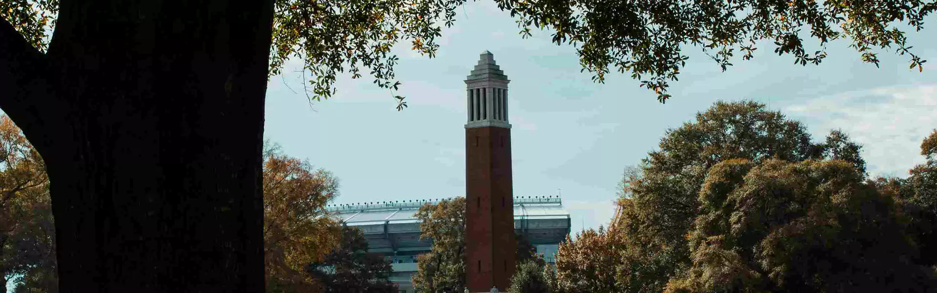 Tower surrounded by trees and blue sky.