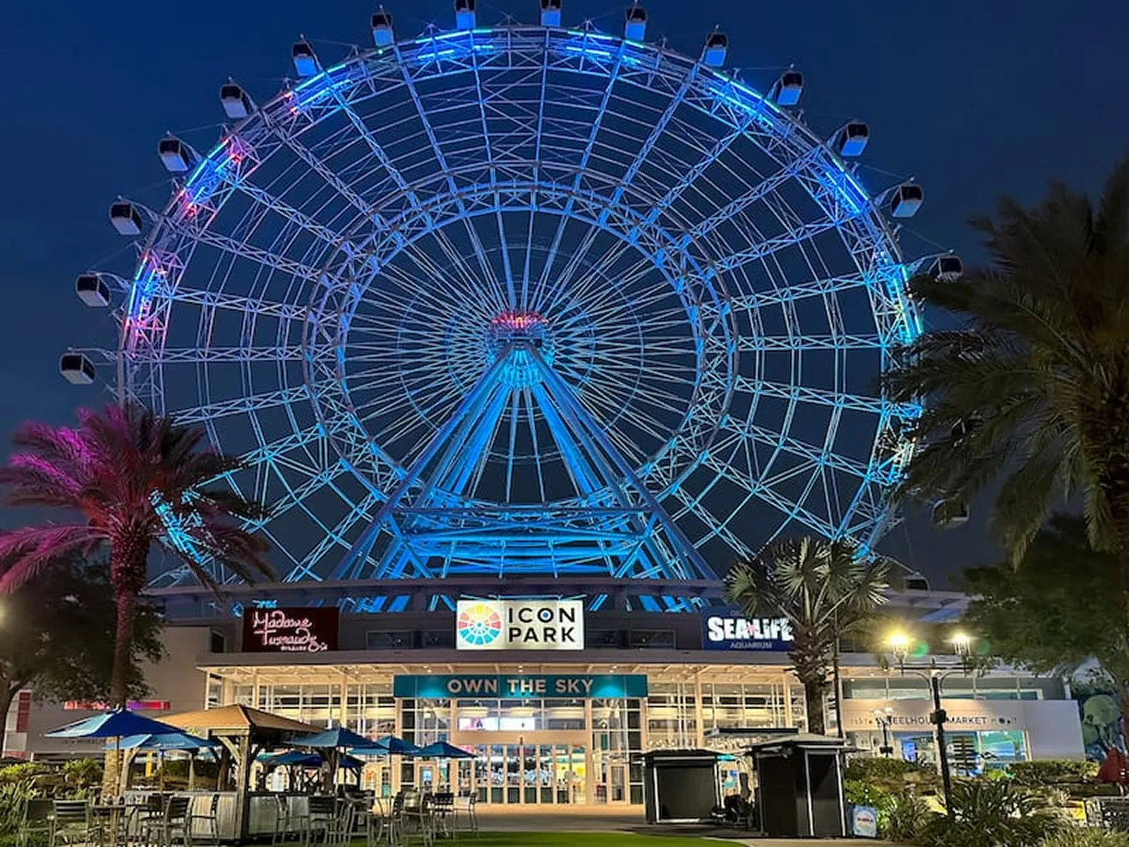Illuminated Ferris wheel at Icon Park at night.