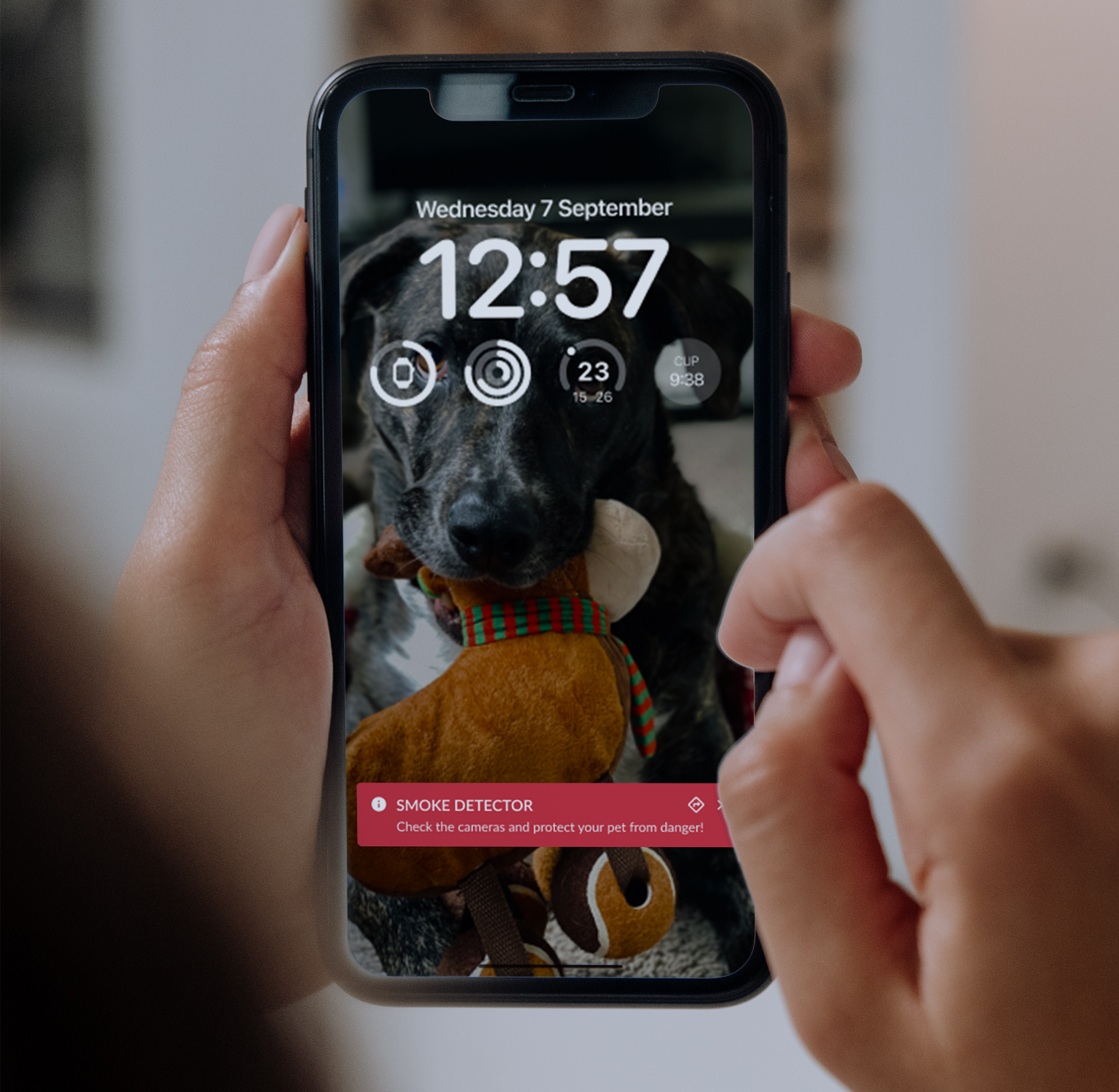 Dog on smartphone screen with alert notification.