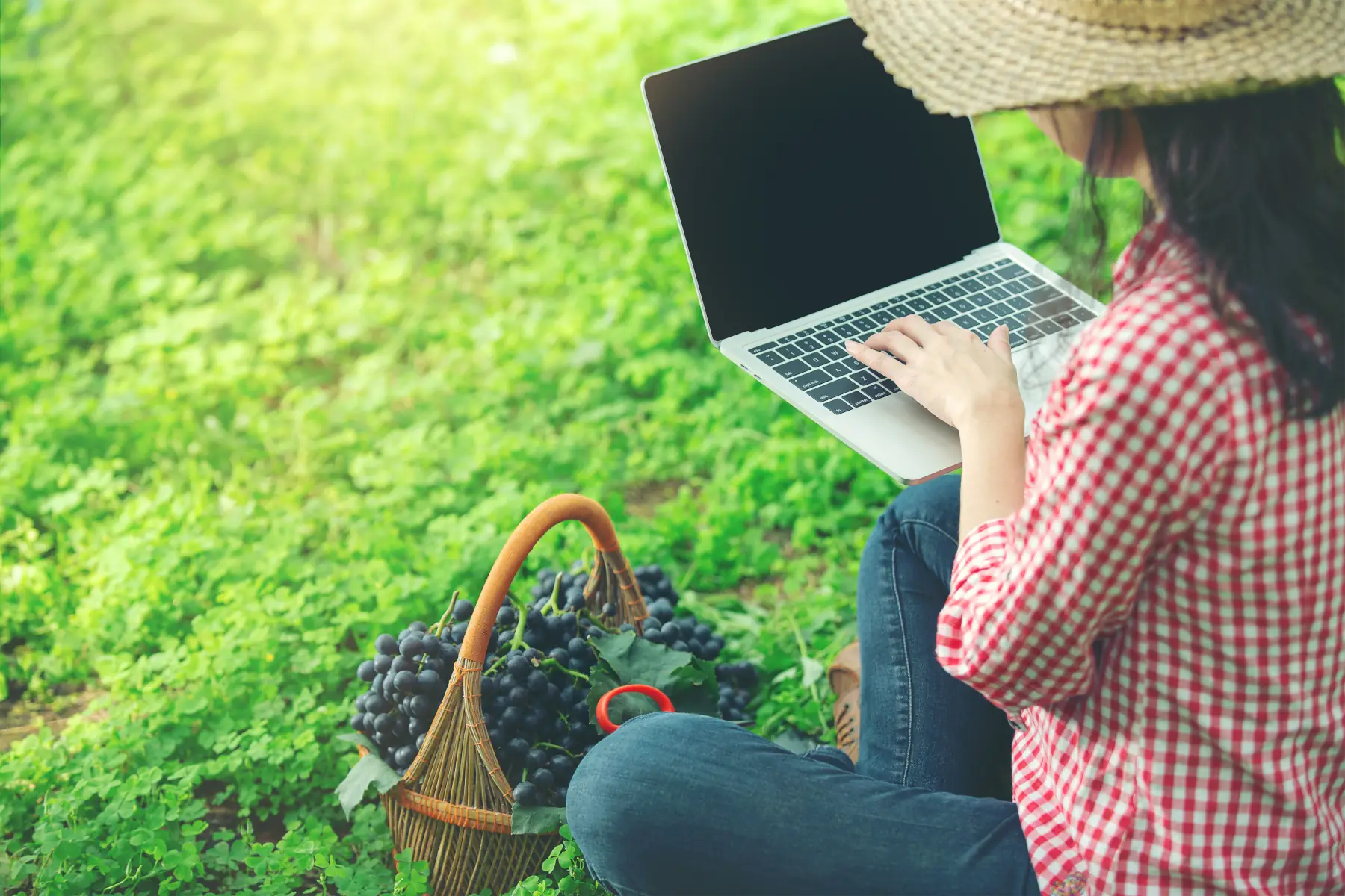 Person using a laptop while sitting outdoors.
